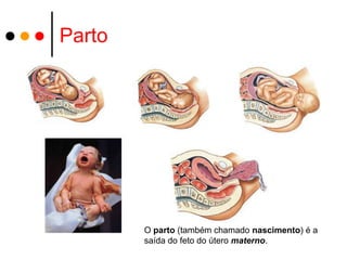 Parto




        O parto (também chamado nascimento) é a
        saída do feto do útero materno.
 