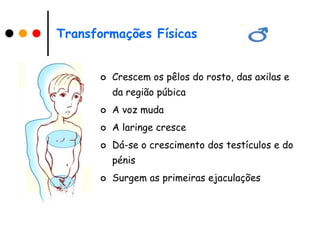 Transformações Físicas


         Crescem os pêlos do rosto, das axilas e
          da região púbica
         A voz muda
         A laringe cresce
         Dá-se o crescimento dos testículos e do
          pénis
         Surgem as primeiras ejaculações
 