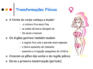 Transformações Físicas

   A forma do corpo começa a mudar:
           • a cintura fica mais fina
           • os ossos da bacia alargam-se
           • Os seios crescem

   Os órgãos genitais também mudam:
           • a vagina fica com a parede mais espessa
           • o útero aumenta de tamanho
           • aumenta a irrigação sanguínea do clitóris

   Crescem os pêlos das axilas e da região púbica
   Dá-se a primeira menstruação (período)
 