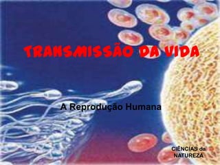 TRANSMISSÃO DA VIDA


   A Reprodução Humana



                         CIÊNCIAS da
                          NATUREZA
 