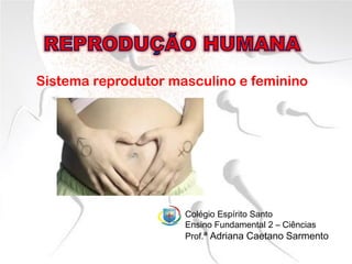 Sistema reprodutor masculino e feminino
Colégio Espírito Santo
Ensino Fundamental 2 – Ciências
Prof.ª Adriana Caetano Sarmento
 