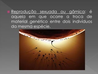  Reprodução sexuada ou gâmica: é
aquela em que ocorre a troca de
material genético entre dois indivíduos
da mesma espécie.
 