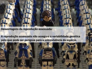 Desvantagens da reprodução assexuada:
A reprodução assexuada não assegura a variabilidade genética
pelo que pode ser perigosa para a sobrevivência da espécie.
 