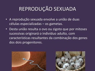 Reprodução dos deres vivos | PPTX