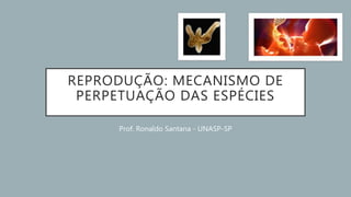 REPRODUÇÃO: MECANISMO DE
PERPETUAÇÃO DAS ESPÉCIES
Prof. Ronaldo Santana - UNASP-SP
 