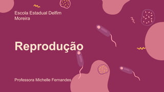 Reprodução
Professora Michelle Fernandes
Escola Estadual Delfim
Moreira
 
