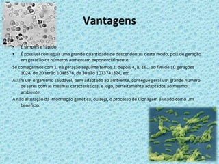 Vantagens É simples e rápido É possível conseguir uma grande quantidade de descendentes deste modo, pois de geração em geração os números aumentam exponencialmente. Se começarmos com 1, na geração seguinte temos 2, depois 4, 8, 16… ao fim de 10 gerações 1024, de 20 serão 1048576, de 30 são 1073741824, etc… Assim um organismo saudável, bem adaptado ao ambiente, consegue geral um grande numero de seres com as mesmas características, e logo, perfeitamente adaptados ao mesmo ambiente. A não alteração da informação genética, ou seja, o processo de Clonagem é usado como um beneficio. 