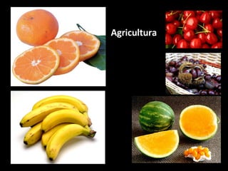 Agricultura 