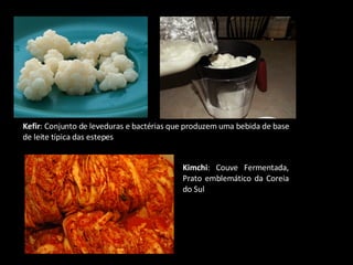Kimchi : Couve Fermentada, Prato emblemático da Coreia do Sul Kefir : Conjunto de leveduras e bactérias que produzem uma bebida de base de leite típica das estepes 
