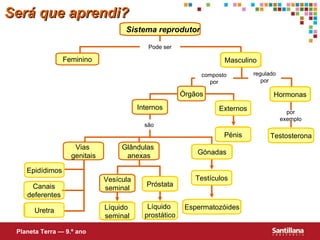Será que aprendi? Feminino Órgãos Internos Vesícula seminal Vias  genitais Planeta Terra — 9.º ano Glândulas  anexas Sistema reprodutor Masculino Hormonas Testosterona Externos Pénis Gónadas Testículos Espermatozóides Próstata Líquido  prostático Líquido  seminal Uretra Epidídimos Canais deferentes Uretra por exemplo regulado por composto por são Pode ser 