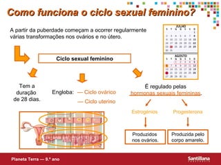 Como funciona o ciclo sexual feminino? A partir da puberdade começam a ocorrer regularmente várias transformações nos ovários e no útero. Tem a duração  de 28 dias. Ciclo sexual feminino É regulado pelas  hormonas sexuais   femininas . Estrogénios Produzidos  nos ovários. Progesterona Produzida pelo corpo amarelo. Engloba: —  Ciclo ovárico —  Ciclo uterino Planeta Terra — 9.º ano 
