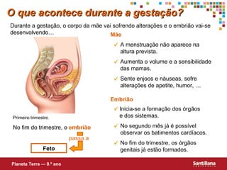 Durante a gestação, o corpo da mãe vai sofrendo alterações e o embrião vai-se desenvolvendo… No fim do trimestre, o  embrião   Feto Mãe Embrião O que acontece durante a gestação? Planeta Terra — 9.º ano passa a  A menstruação não aparece na altura prevista.  Aumenta o volume e a sensibilidade das mamas.  Sente enjoos e náuseas, sofre alterações de apetite, humor, …  Inicia-se a formação dos órgãos  e dos sistemas.  No segundo mês já é possível observar os batimentos cardíacos.  No fim do trimestre, os órgãos genitais já estão formados.  Primeiro trimestre. 