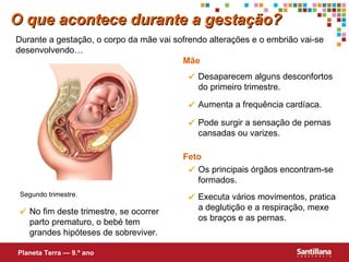 Durante a gestação, o corpo da mãe vai sofrendo alterações e o embrião vai-se desenvolvendo… Mãe Feto O que acontece durante a gestação? Planeta Terra — 9.º ano Desaparecem alguns desconfortos do primeiro trimestre.  Os principais órgãos encontram-se formados.  Aumenta a frequência cardíaca.  Pode surgir a sensação de pernas cansadas ou varizes.  Executa vários movimentos, pratica a deglutição e a respiração, mexe  os braços e as pernas.  No fim deste trimestre, se ocorrer parto prematuro, o beb é  tem grandes hipóteses de sobreviver.  Segundo trimestre. 