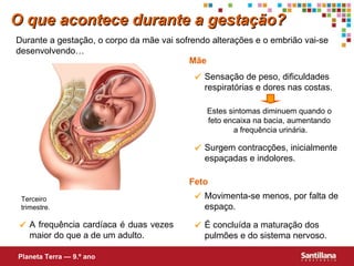 Durante a gestação, o corpo da mãe vai sofrendo alterações e o embrião vai-se desenvolvendo… Mãe Feto Estes sintomas diminuem quando o  feto encaixa na bacia, aumentando  a frequência urinária. O que acontece durante a gestação? Planeta Terra — 9.º ano Sensação de peso, dificuldades respiratórias e dores nas costas.  Movimenta-se menos, por falta de espaço.  É concluída a maturação dos pulmões e do sistema nervoso.  A frequência cardíaca é duas vezes maior do que a de um adulto.  Surgem contracções, inicialmente  espaçadas e indolores.  Terceiro trimestre. 