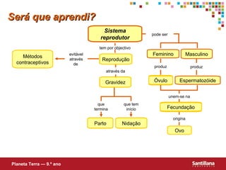 Será que aprendi? Sistema reprodutor Feminino Masculino Espermatozóide Ovo Planeta Terra — 9.º ano Óvulo Fecundação Reprodução Gravidez Nidação Parto Métodos contraceptivos pode ser através da que termina que tem início produz produz unem-se na origina evitável através de  tem por objectivo 