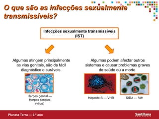 Algumas atingem principalmente as vias genitais, são de fácil diagnóstico e curáveis. Infecções sexualmente transmissíveis (IST) Algumas podem afectar outros sistemas e causar problemas graves de saúde ou a morte. Planeta Terra — 9.º ano O que são as infecções sexualmente transmissíveis? SIDA — VIH Hepatite B — VHB Herpes genital — Herpes simplex   (vírus) 