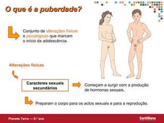 O que é a puberdade? Conjunto de  alterações físicas  e  psicológicas  que marcam  o início da adolescência. Alterações físicas Caracteres sexuais secundários Começam a surgir com a produção  de hormonas sexuais. Preparam o corpo para os actos sexuais e para a reprodução. Planeta Terra — 9.º ano 