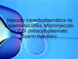 Injecção Intracitoplasmática de Espermatozóides, Microinjecção ou ICSI (Intracytoplasmatic Sperm Injection)‏ 