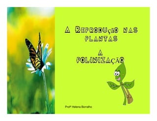 A Reprodução nas
    plantas
             A
        POLINIZAÇÃO




Profª Helena Borralho
 