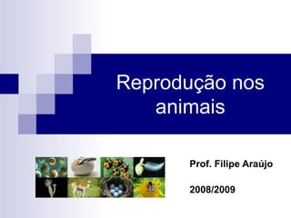 Reprodução nos animais Prof. Filipe Araújo 2008/2009 
