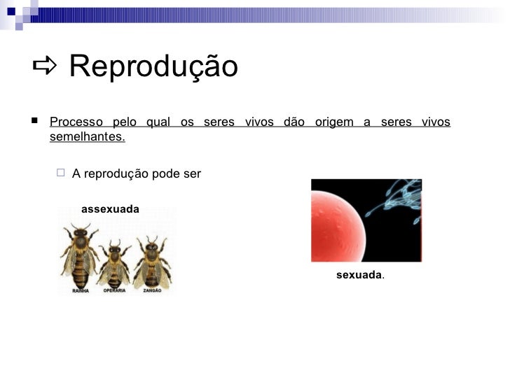 Qual A Principal Maneira Pela Qual Esses Seres Se Reproduzem