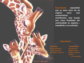 Reprodução: capacidade
que os seres vivos tês de
originar seres com
características
semelhantes. Esta função
tem como fina...