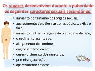 Os rapazes desenvolvem durante a puberdade os seguintes caracteres sexuais secundários:aumento do tamanho dos órgãos sexuais;aparecimento de pêlos nas zonas púbicas, axilas e face;aumento da transpiração e da oleosidade da pele;crescimento acentuado;alargamento dos ombros;engrossamento da voz;desenvolvimento dos músculos;primeira ejaculação;aparecimento de acne.