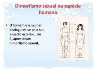 Dimorfismo sexual na espécie humanaO homem e a mulher distinguem-se pelo seu aspecto exterior, isto é, apresentam dimorfismo sexual.