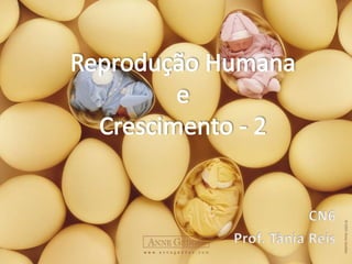 Reprodução HumanaeCrescimento - 2 CN6 Prof. Tânia Reis 