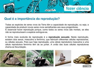 Qual é a importância da reprodução? Todas as espécies de seres vivos da Terra têm a capacidade de reprodução, ou seja, a capacidade de produzir novos seres vivos semelhantes aos seus progenitores. É essencial haver reprodução porque, como todos os seres vivos são mortais, se eles não se reproduzissem a espécie extinguia-se. A forma mais evoluída de reprodução é a  reprodução sexuada . Nesta reprodução, existem dois sexos, masculino e feminino, que fabricam diferentes células reprodutoras, ou células sexuais. Para que haja reprodução, uma célula reprodutora masculina e uma célula reprodutora feminina têm de se juntar. A união das duas células reprodutoras chama-se fecundação.  