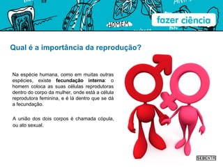 Qual é a importância da reprodução? Na espécie humana, como em muitas outras espécies, existe  fecundação interna : o homem coloca as suas células reprodutoras dentro do corpo da mulher, onde está a célula reprodutora feminina, e é lá dentro que se dá a fecundação.  A união dos dois corpos é chamada cópula, ou ato sexual . 