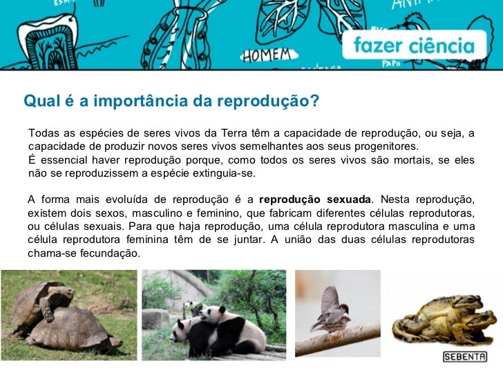 Na Sua Opinião Qual A Importância Do Projeto Paa áfrica