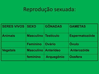 Reprodução sexuada:
SERES VIVOS SEXO
Animais

GÔNADAS

GAMETAS
Espermatozóide

Feminino
Vegetais

Masculino Testículo

Óvulo

Ovário

Masculino Anterídeo

Anterozóide

feminino

Oosfera

Arquegônio

 