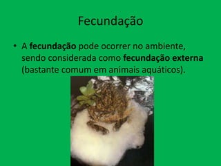 Fecundação
• A fecundação pode ocorrer no ambiente,
sendo considerada como fecundação externa
(bastante comum em animais aquáticos).

 