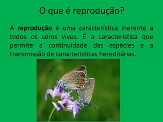 O que é reprodução?
A reprodução é uma característica inerente a
todos os seres vivos. É a característica que
permite a continuidade das espécies e a
transmissão de características hereditárias.

 