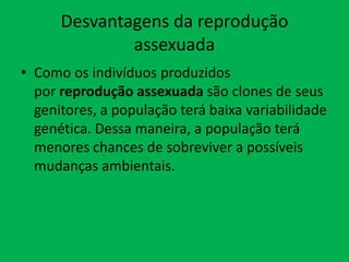 Desvantagens da reprodução
assexuada
• Como os indivíduos produzidos
por reprodução assexuada são clones de seus
genitores, a população terá baixa variabilidade
genética. Dessa maneira, a população terá
menores chances de sobreviver a possíveis
mudanças ambientais.

 