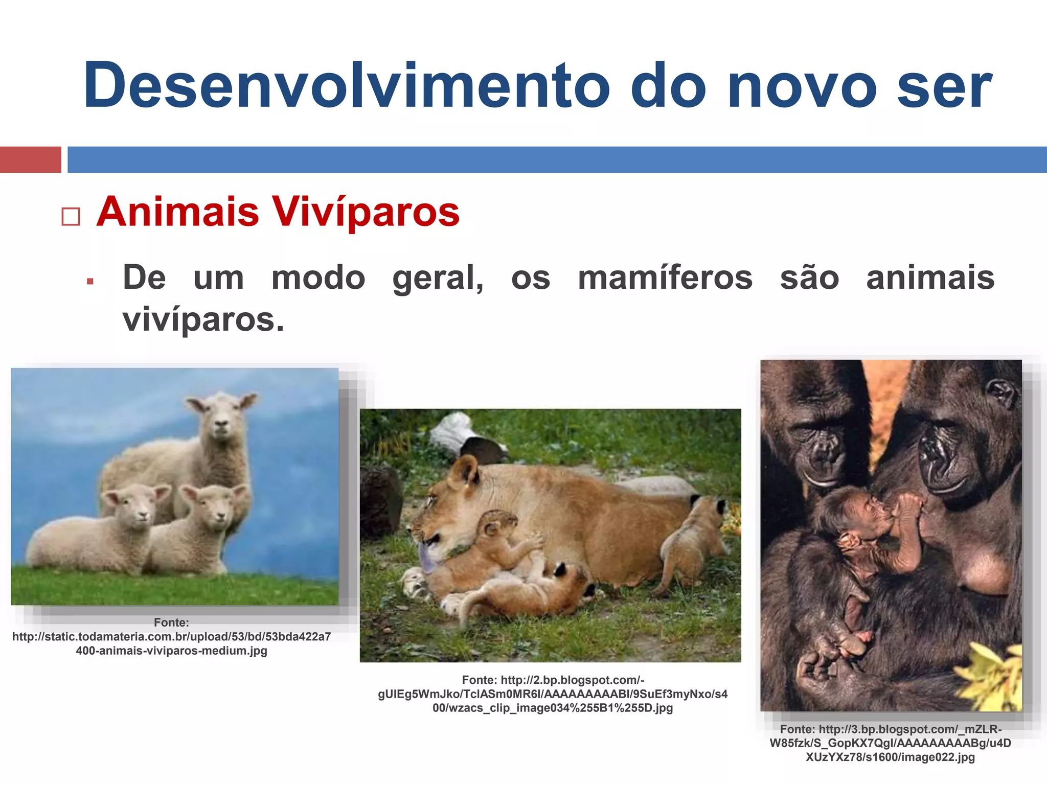 Desenvolvimento do novo ser
 Animais Vivíparos
 De um modo geral, os mamíferos são animais
vivíparos.
Fonte:
http://static.todamateria.com.br/upload/53/bd/53bda422a7
400-animais-viviparos-medium.jpg
Fonte: http://2.bp.blogspot.com/-
gUIEg5WmJko/TclASm0MR6I/AAAAAAAAABI/9SuEf3myNxo/s4
00/wzacs_clip_image034%255B1%255D.jpg
Fonte: http://3.bp.blogspot.com/_mZLR-
W85fzk/S_GopKX7QgI/AAAAAAAAABg/u4D
XUzYXz78/s1600/image022.jpg
 
