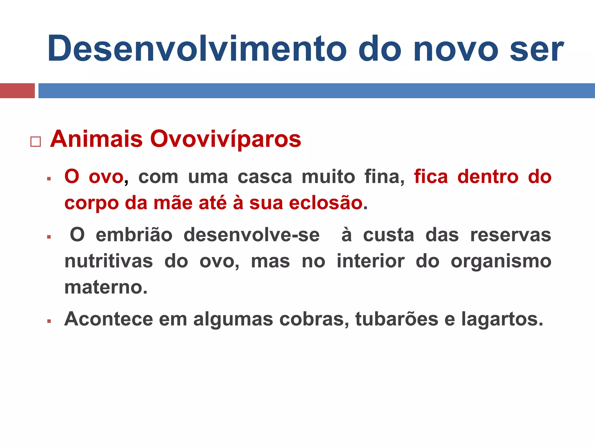 Desenvolvimento do novo ser
 Animais Ovovivíparos
 O ovo, com uma casca muito fina, fica dentro do
corpo da mãe até à sua eclosão.
 O embrião desenvolve-se à custa das reservas
nutritivas do ovo, mas no interior do organismo
materno.
 Acontece em algumas cobras, tubarões e lagartos.
 