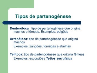 Tipos de partenogênese Deuterótoca  : tipo de partenogênese que origina machos e fêmeas. Exemplos: pulgões Arrenótoca : tipo de partenogênese que origina machos  Exemplos: zangões, formigas e abelhas Telítoca : tipo de partenogênese que origina fêmeas  Exemplos: escorpiões  Tytius serrulatus 