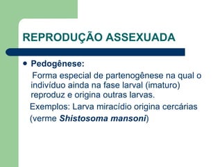 REPRODUÇÃO ASSEXUADA Pedogênese: Forma especial de partenogênese na qual o indivíduo ainda na fase larval (imaturo) reproduz e origina outras larvas. Exemplos: Larva miracídio origina cercárias (verme  Shistosoma mansoni ) 