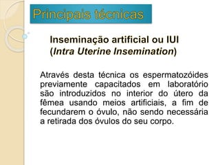 Através desta técnica os espermatozóides
previamente capacitados em laboratório
são introduzidos no interior do útero da
fêmea usando meios artificiais, a fim de
fecundarem o óvulo, não sendo necessária
a retirada dos óvulos do seu corpo.
 