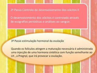 2º Passo Controlo do desenvolvimento dos oócitos II

O desenvolvimento dos oócitos é controlado através
de ecografias periódicas e análises ao sangue.




3º Passo estimulação hormonal da ovulação

Quando os folículos atingem a maturação necessária é administrada
uma injecção de uma hormona sintética com função semelhante ao
LH , a Pregnyl, que irá provocar a ovulação.
 