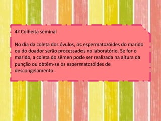 4º Colheita seminal

No dia da coleta dos óvulos, os espermatozóides do marido
ou do doador serão processados no laboratório. Se for o
marido, a coleta do sêmen pode ser realizada na altura da
punção ou obtêm-se os espermatozóides de
descongelamento.
 