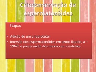 Etapas

• Adição de um crioprotetor
• Imersão dos espermatozóides em azoto líquido, a –
  196ºC e preservação dos mesmo em criotubos .
 