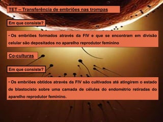 TET – Transferência de embriões nas trompas 
Em que consiste? 
• Os embriões formados através da FIV e que se encontram em divisão 
celular são depositados no aparelho reprodutor feminino 
Co-culturas 
Em que consiste? 
• Os embriões obtidos através da FIV são cultivados até atingirem o estado 
de blastocisto sobre uma camada de células do endométrio retiradas do 
aparelho reprodutor feminino. 
 