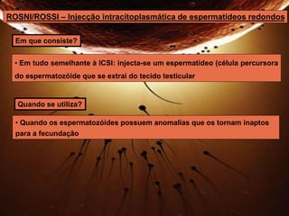 ROSNI/ROSSI – Injecção intracitoplasmática de espermatídeos redondos 
Em que consiste? 
• Em tudo semelhante à ICSI: injecta-se um espermatídeo (célula percursora 
do espermatozóide que se extrai do tecido testicular 
Quando se utiliza? 
• Quando os espermatozóides possuem anomalias que os tornam inaptos 
para a fecundação 
 