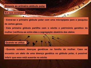 Biópsia ao primeiro glóbulo polar 
Em que consiste? 
• Extrai-se o primeiro glóbulo polar com uma micropipeta para a pesquisa 
de certos genes. 
• Este primeiro glóbulo partilha com o oócito o património genético da 
mulher (verificou-se entre eles a segregação aleatória dos alelos 
Quando se utiliza? 
• Quando existem doenças genéticas na família da mulher. Caso se 
encontre um alelo de uma doença genética no glóbulo polar, é possível 
inferir que esse está ausente no oócito 
 