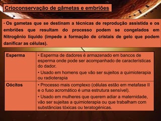Crioconservação de gâmetas e embriões 
• Os gametas que se destinam a técnicas de reprodução assistida e os 
embriões que resultam do processo podem se congelados em 
Nitrogênio líquido (impede a formação de cristais de gelo que podem 
danificar as células). 
Esperma • Esperma de dadores é armazenado em bancos de 
esperma onde pode ser acompanhado de características 
do dador. 
• Usado em homens que vão ser sujeitos a quimioterapia 
ou radioterapia 
Oócitos • Processo mais complexo (células estão em metafase II 
e o fuso acromático é uma estrutura sensível). 
• Usado em mulheres que querem adiar a maternidade, 
vão ser sujeitas a quimioterapia ou que trabalham com 
substâncias tóxicas ou teratogénicas. 
 