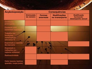Acção/exposição Consequências 
Diminuição 
do número 
Formas 
anormais 
Modificações 
no transnporte 
Modificação 
hormonal/ 
desempenho sexual 
Condução 
prolongada 
Contacto com 
solventes orgânicos 
Trabalho em 
fundições 
metalúrgicas 
(elevadas T) 
Exposição a vapores 
de mercúrio 
Exposição a 
radiações (ex.: 
radares militares) 
Radioactividade 
Calor (sauna, banhos 
quentes, roupa justa) 
 