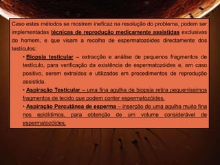 Caso estes métodos se mostrem ineficaz na resolução do problema, podem ser 
implementadas técnicas de reprodução medicamente assistidas exclusivas 
do homem, e que visam a recolha de espermatozóides directamente dos 
testículos: 
• Biopsia testicular – extracção e análise de pequenos fragmentos de 
testículo, para verificação da existência de espermatozóides e, em caso 
positivo, serem extraídos e utilizados em procedimentos de reprodução 
assistida. 
• Aspiração Testicular – uma fina agulha de biopsia retira pequeníssimos 
fragmentos de tecido que podem conter espermatozóides. 
• Aspiração Percutânea de esperma – inserção de uma agulha muito fina 
nos epidídimos, para obtenção de um volume considerável de 
espermatozóides. 
 